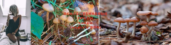 дистиллят марихуана Козельск