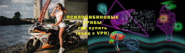 молекула духа Козловка