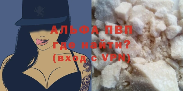 молекула духа Козловка