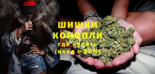 молекула духа Козловка