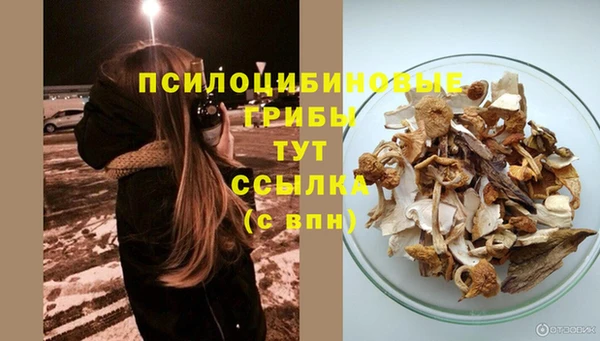 дживик Кодинск