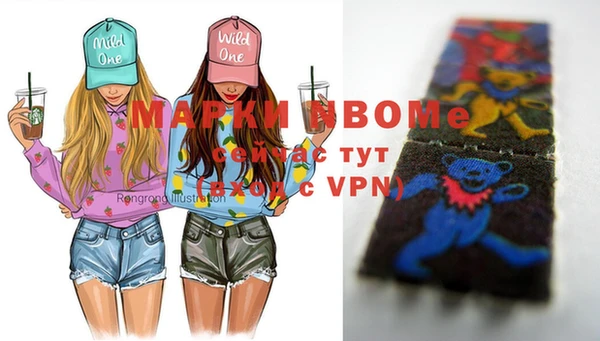 молекула духа Козловка