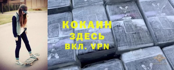 молекула духа Козловка