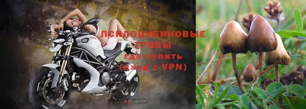 дживик Кодинск