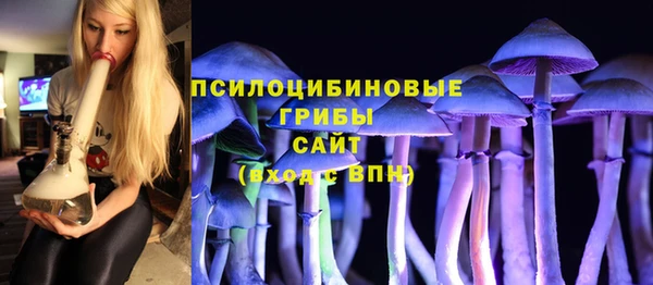 молекула духа Козловка