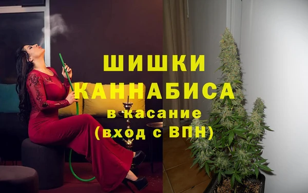 молекула духа Козловка