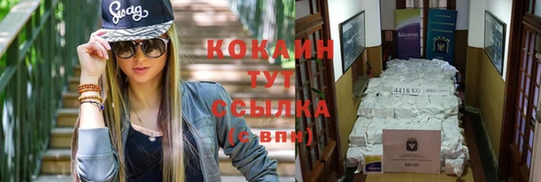 молекула духа Козловка