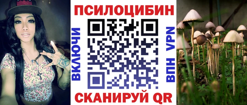 Псилоцибиновые грибы ЛСД  Купить где  Новый Уренгой 