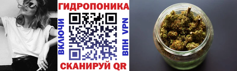 Купить закладки  Новый Уренгой  Бошки марихуана MAZAR 